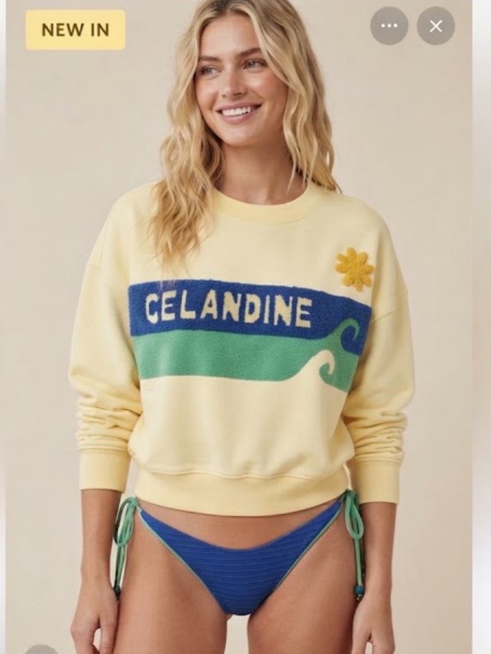NWT ANTHROPOLOGY Celandine OVERSIZED SURF CAMP Graphic Crewneck Sweatshirt - Picture 3 of 10